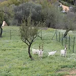 Casa Vistosa *