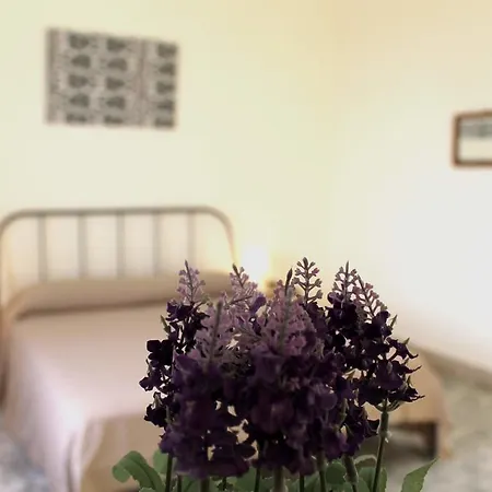 Casa Vistosa